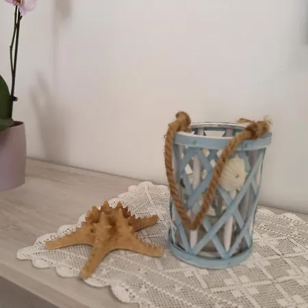 Starfish Portoscuso